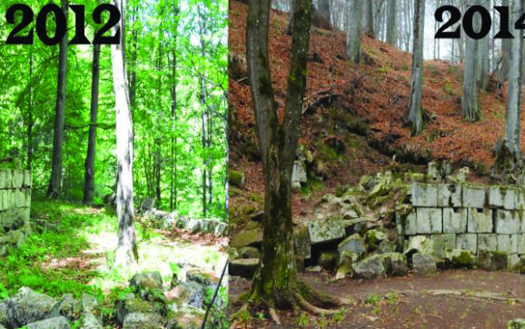 PATRIMONIUL DIN NOU ÎN PERICOL! Cetăţile dacice între birocraţie, mediocritate şi bătălii politice