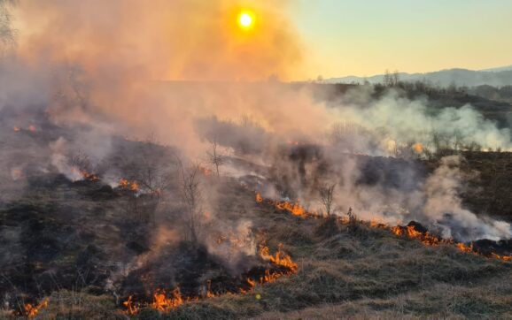 POMPIERI. STOP incendiilor de vegetație!