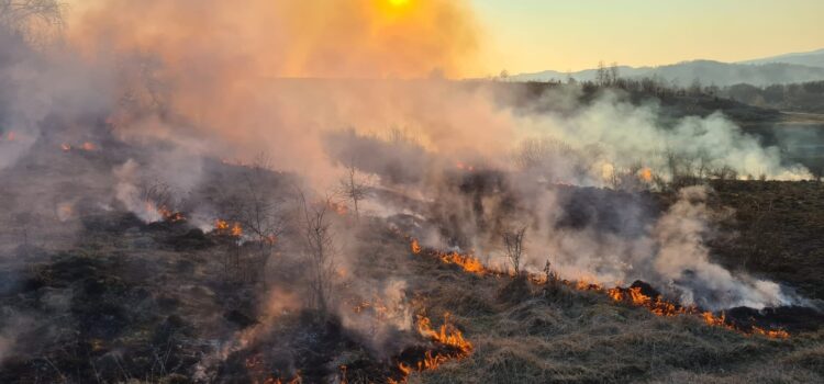 POMPIERI. STOP incendiilor de vegetație!
