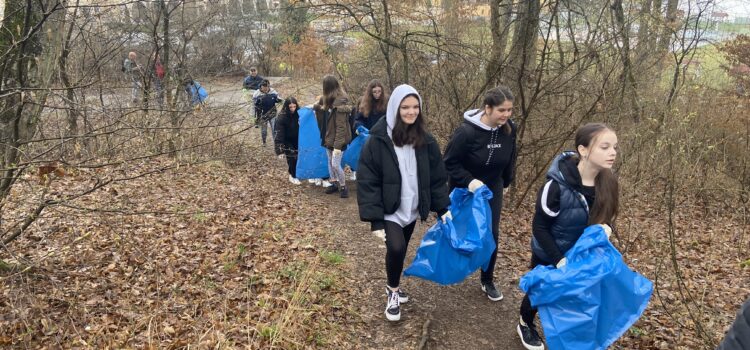 ECOLOGIZARE. Start, la Deva, în „Luna curățeniei”