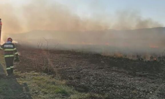 NEGLIJENȚĂ. Incendiu la o fermă piscicolă din Vlaicu