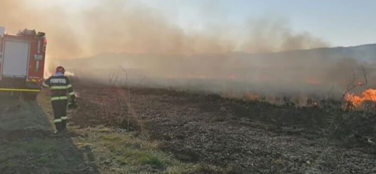 NEGLIJENȚĂ. Incendiu la o fermă piscicolă din Vlaicu