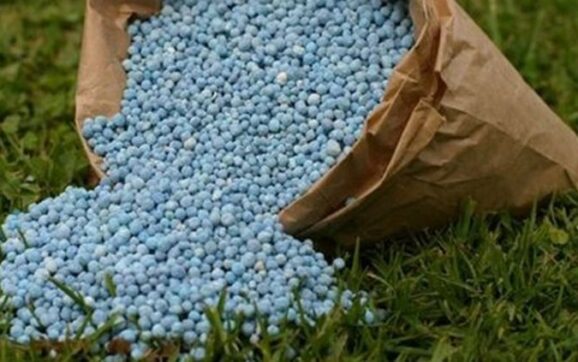 DOSAR PENAL. Îngrășăminte chimice expirate, la Orăștie