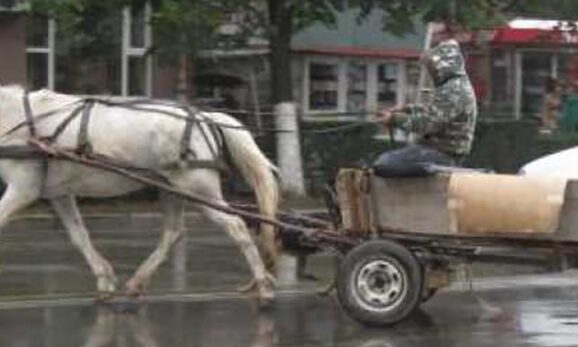 DEVA. Căruţaş rănit de un şofer beat, aflat la volanul unei maşini neînmatriculate