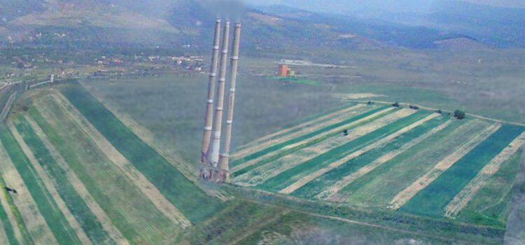 Mintia și ruleta rusească