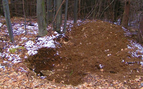 Patrimoniul, o bătălie definitiv pierdută