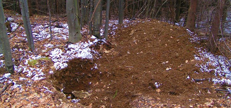 Patrimoniul, o bătălie definitiv pierdută