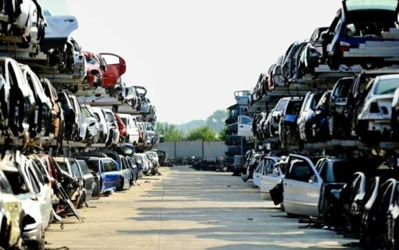 Deva poate scăpa de 1.000 de rable şi toată lumea câştigă