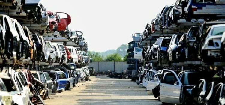 Deva poate scăpa de 1.000 de rable şi toată lumea câştigă