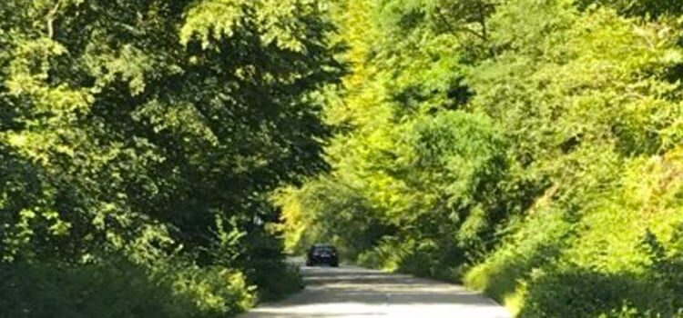 DRUMUL SPRE SARMIZEGETUSA, DRUMUL RUȘINII