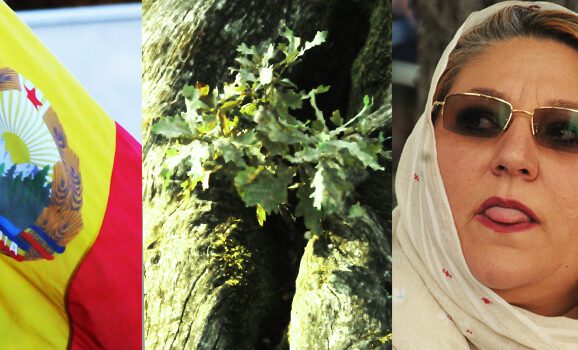 ȚEBEA TRISTĂ, ÎN 50 PROPOZIȚII