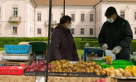 CULTURA LA TARABĂ