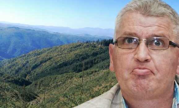 Zarurile au fost aruncate. „Bona albaneză” lovește din nou și mută pădurile Hunedoarei la Alba