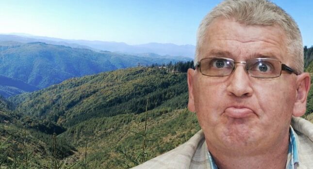 Zarurile au fost aruncate. „Bona albaneză” lovește din nou și mută pădurile Hunedoarei la Alba