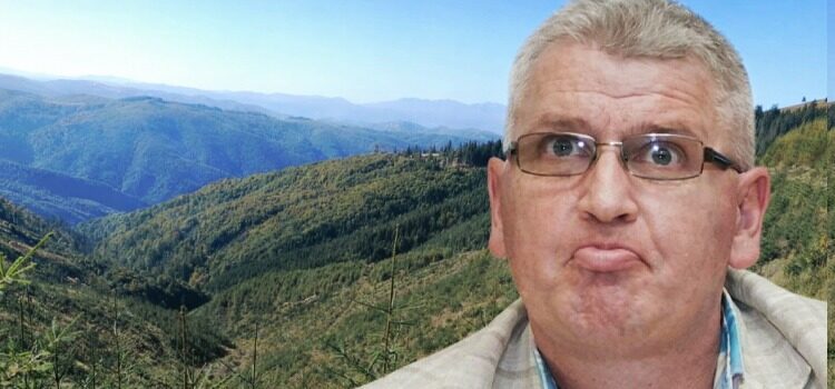 Zarurile au fost aruncate. „Bona albaneză” lovește din nou și mută pădurile Hunedoarei la Alba