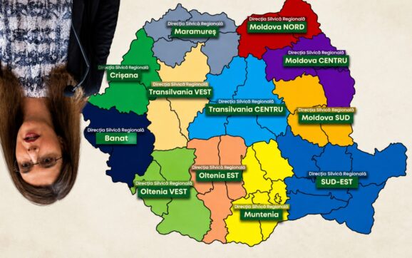 Șapte luni de negocieri pentru o reformă șchioapă –   Cu capul în jos, într-un sistem nereformat