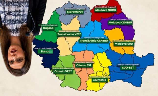 Șapte luni de negocieri pentru o reformă șchioapă –   Cu capul în jos, într-un sistem nereformat