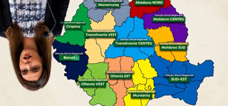Șapte luni de negocieri pentru o reformă șchioapă –   Cu capul în jos, într-un sistem nereformat
